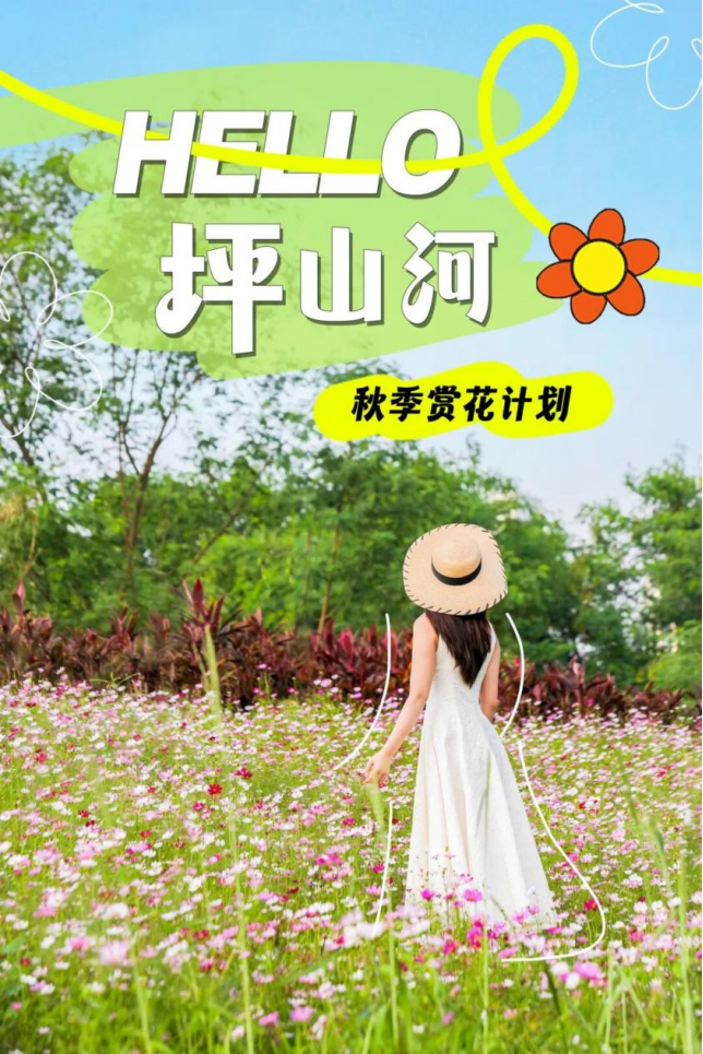 1762501255375 1762501255375