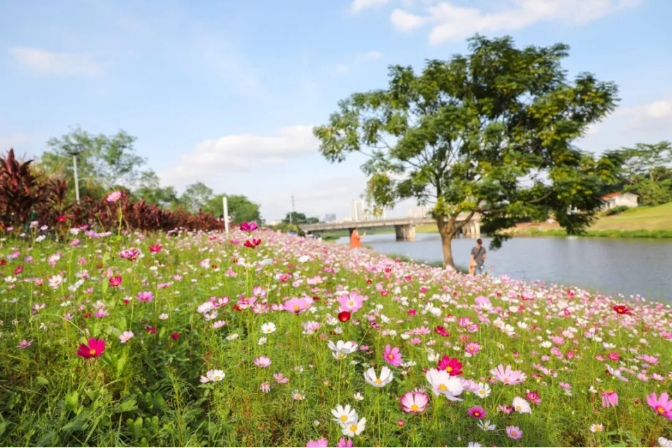 1762501420358 1762501420358