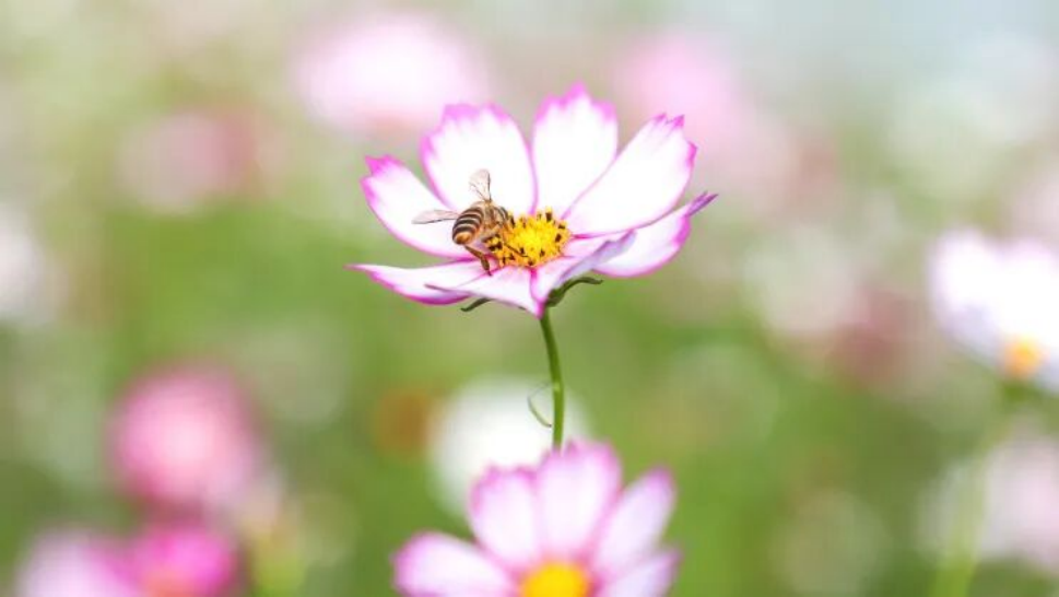 1762501834477 1762501834477