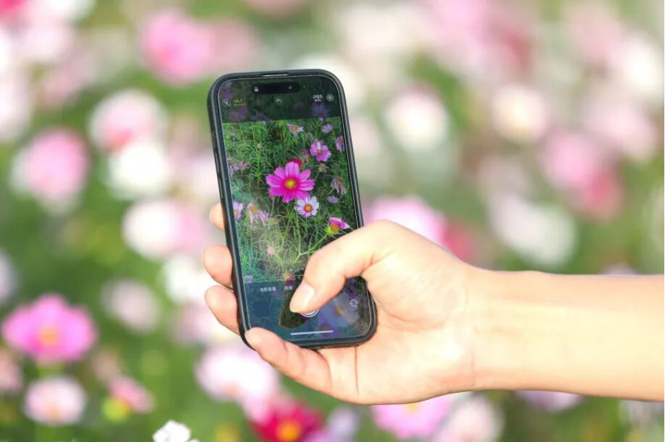 1762502072411 1762502072411