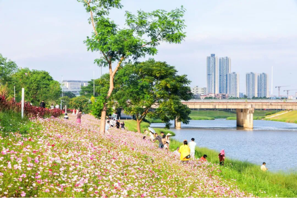 1762502322088 1762502322088