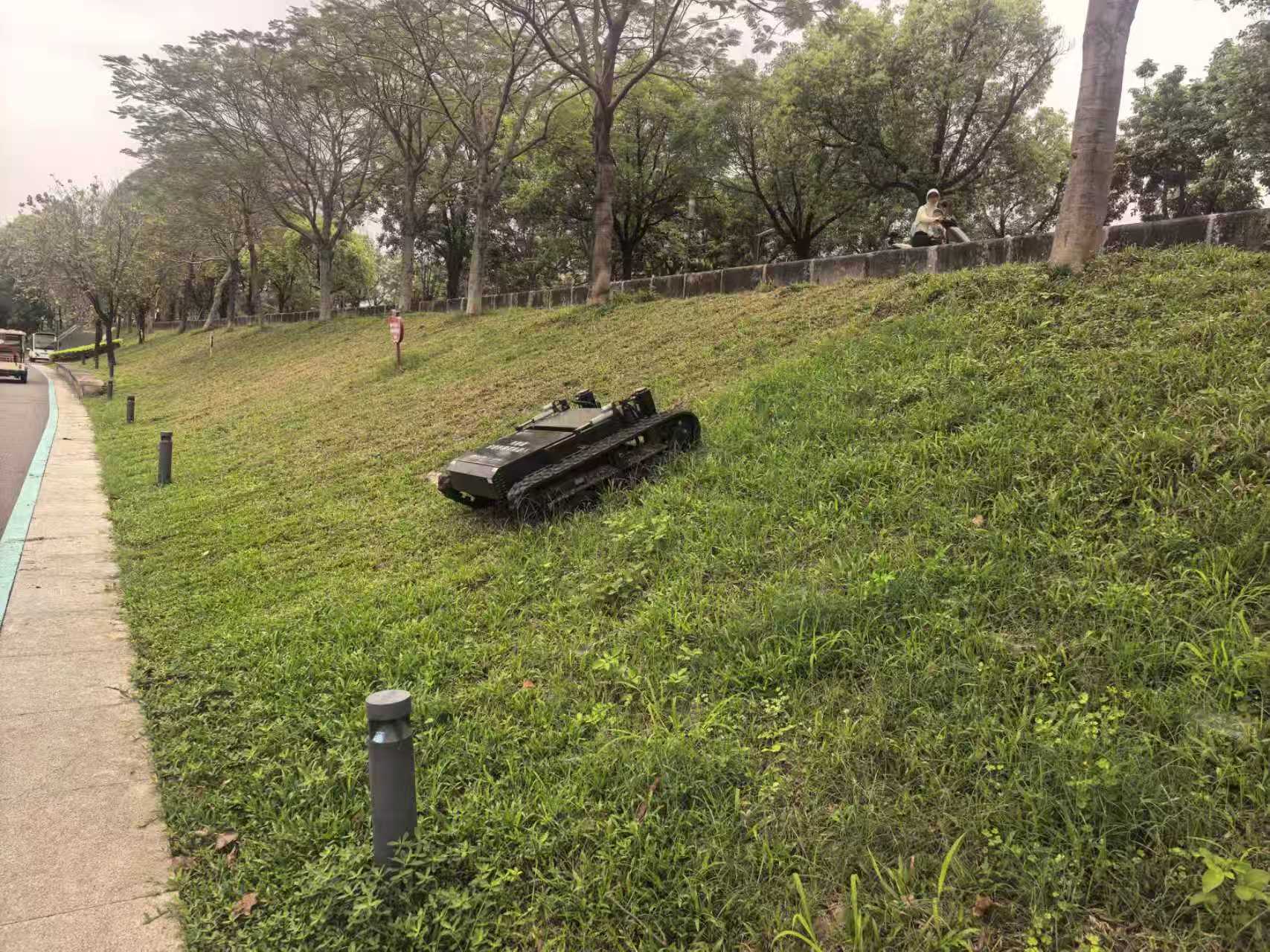 茅洲河河道